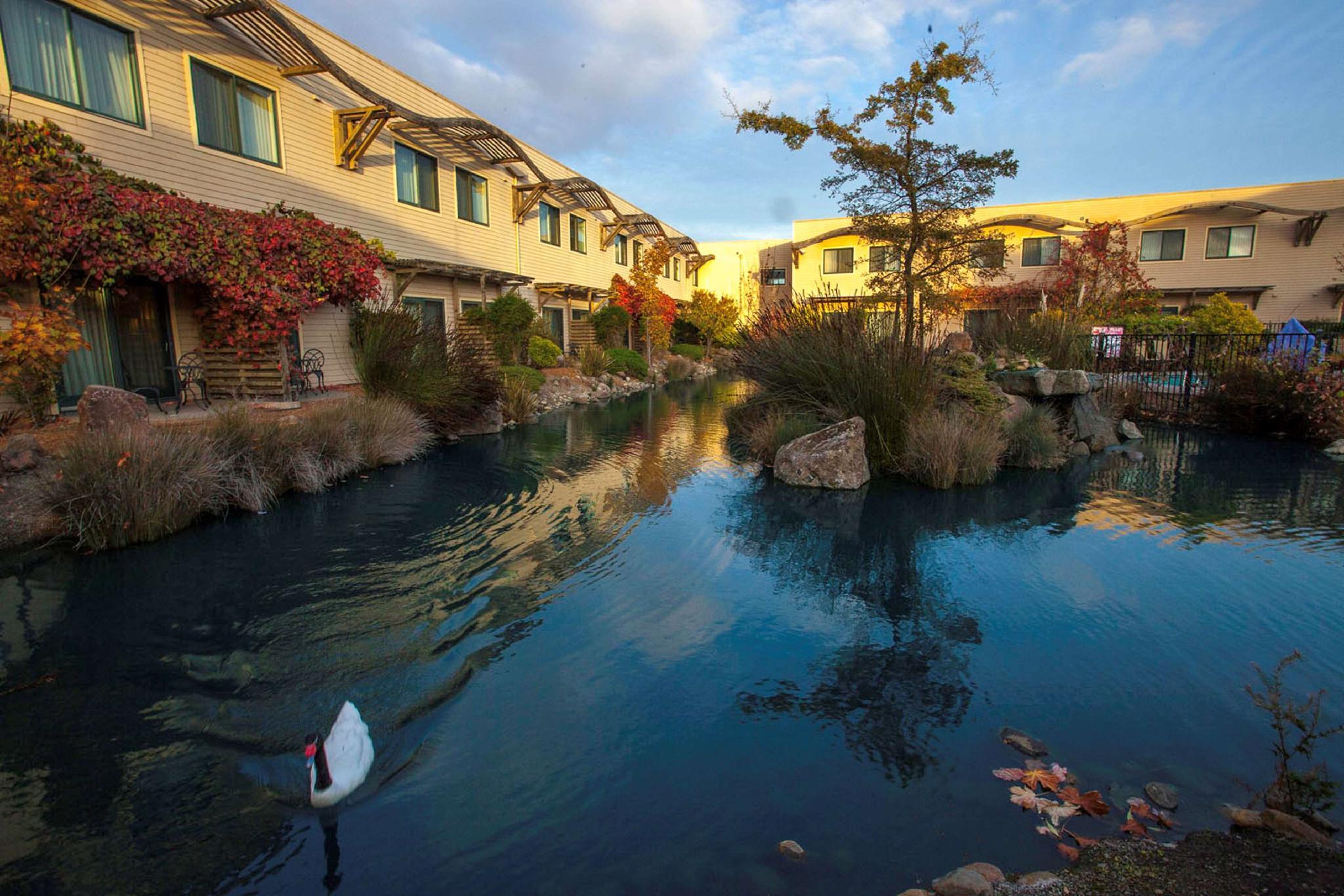 Doubletree By Hilton Napa Valley - American Canyon Εξωτερικό φωτογραφία